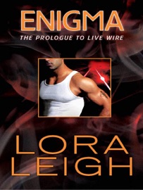 Enigma - Lora Leigh