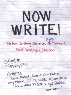 Now Write! by Sherry Ellis
