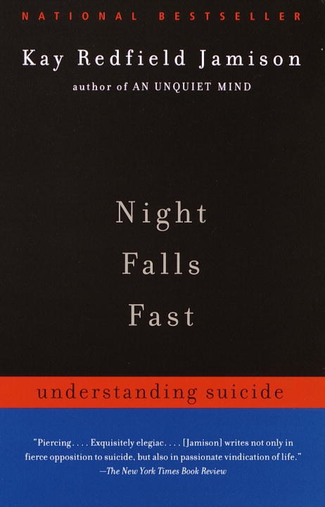 Night Falls Fast cover
