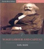 Book Wage Labour and Capital