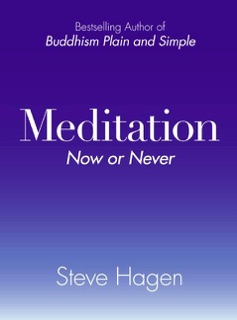 Meditation Now or Never by Steve Hagen