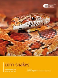 Corn Snakes
