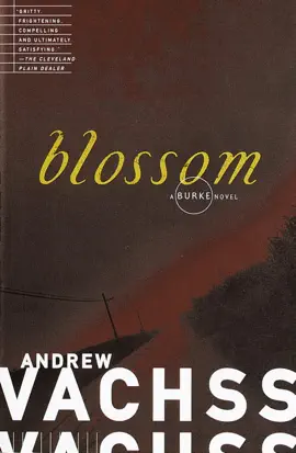 Read: Blossom