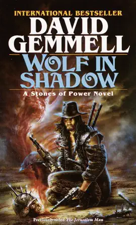 Read: Wolf in Shadow Book