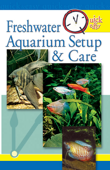Quick & Easy Freshwater Aquarium Setup & Care - Pet Experts At TFH