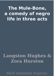 The Mule-Bone, a comedy of negro life in three acts - Langston Hughes