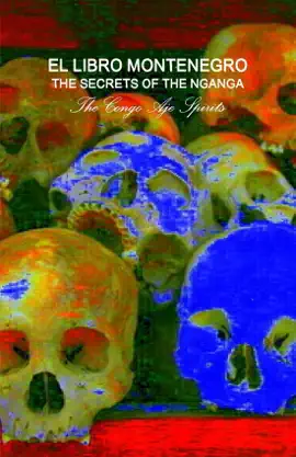 Read: Secrets of the Nganga : Book The Congo Aje Spirits