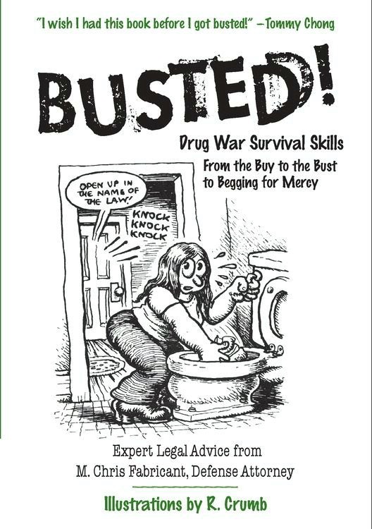 Busted! cover