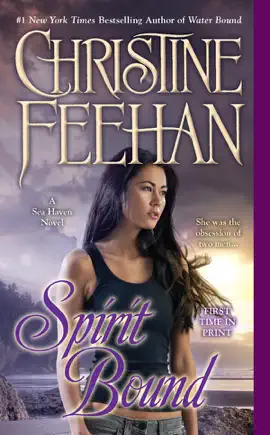 Read: Book Spirit Bound