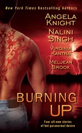 Burning Up - Angela Knight, Nalini Singh, Virginia Kantra & Meljean Brook
