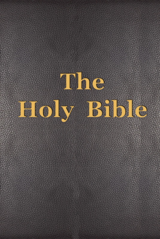 The Holy Bible