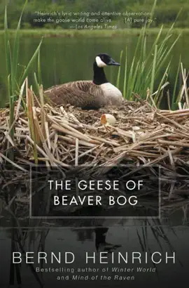 Read: The Geese Book of Beaver Bog