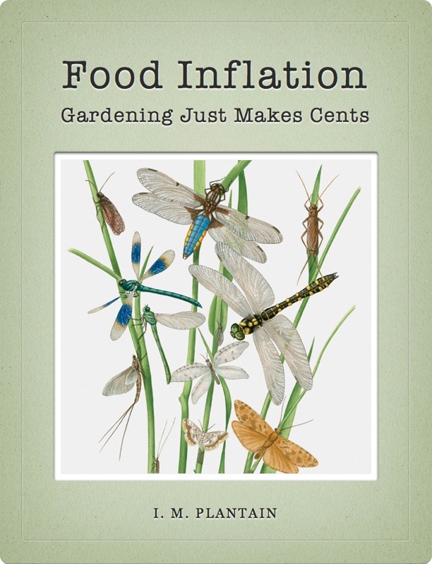 Food Inflation