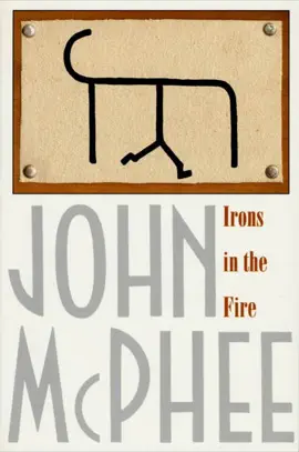 Irons in the Fire