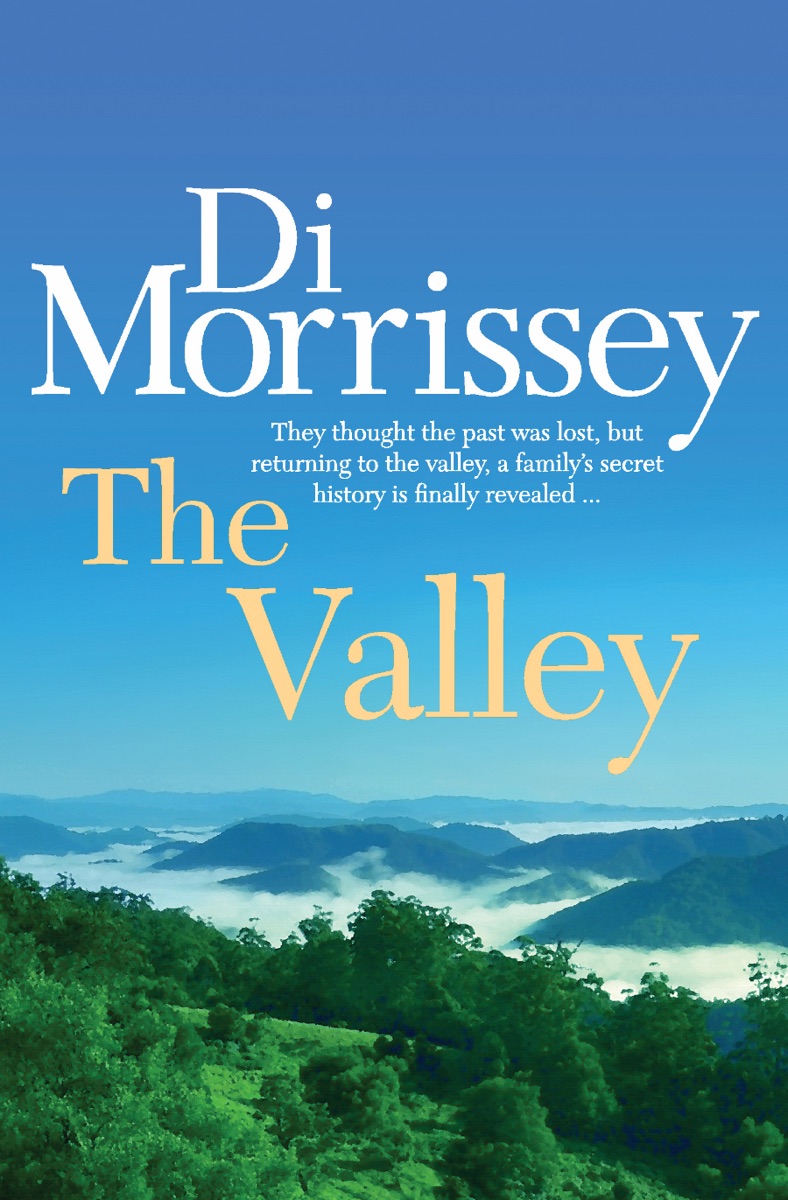 The Valley cover