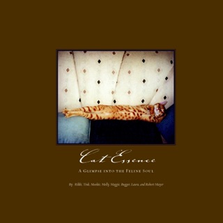 Cat Essence by Laura Mayer