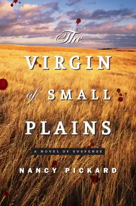 Read: The Virgin of Book Small Plains