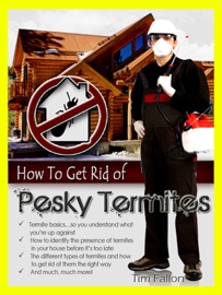 How To Get Rid of Pesky Termites Tim Fallon