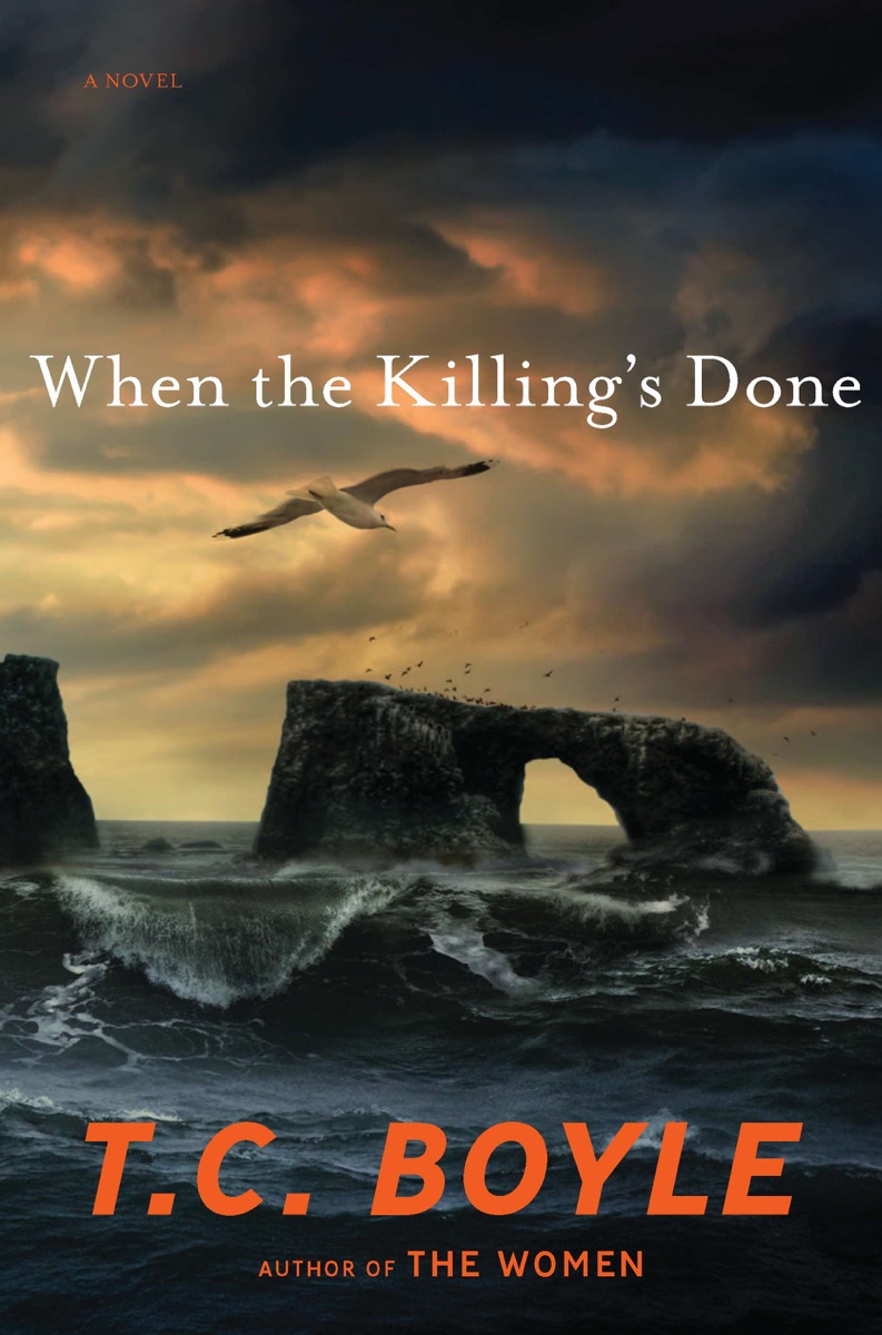 When the Killing's Done cover
