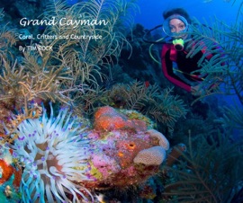 Grand Cayman - Tim Rock