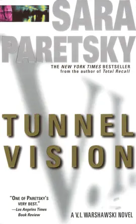 Read: Tunnel Book Vision