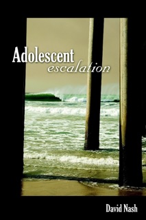 Adolescent Escalation by David Nash
