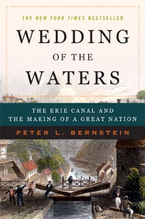 Wedding of the Waters by Peter L. Bernstein
