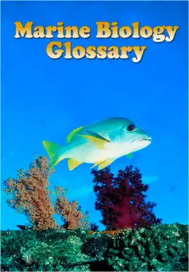Read: Book Marine Biology Glossary