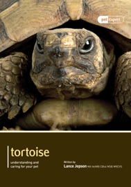 Tortoise