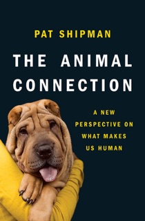 The Animal Connection by Pat Shipman