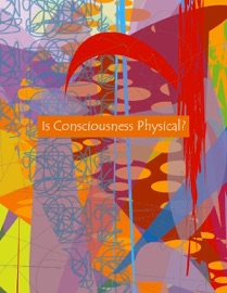 Is Consciousness Physical? - David Christopher Lane