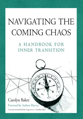 Read: Book Navigating the Coming Chaos