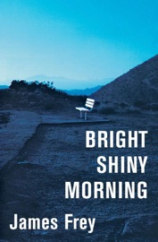 Bright Shiny Morning - James Frey
