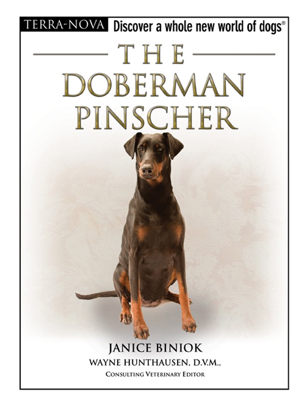The Doberman Pinscher cover