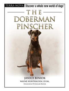 The Doberman Pinscher by Janice Biniok