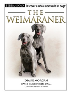 The Weimaraner by Diane Morgan