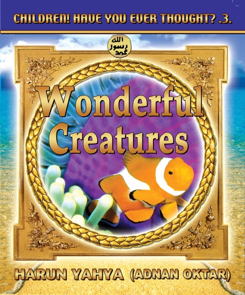 Wonderful Creatures