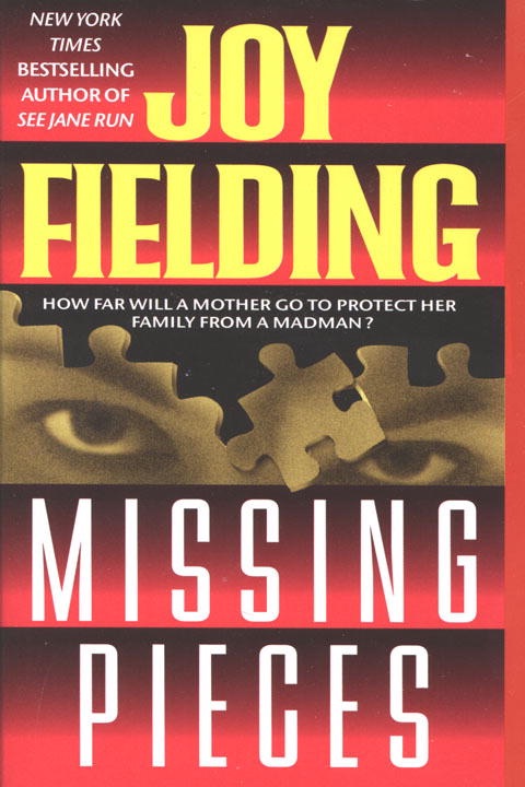 Missing pieces cover