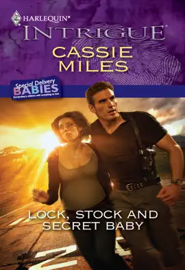 Read: Lock, Stock and Secret Baby Book