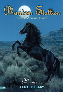 Phantom Stallion #14: Moonrise by Terri Farley