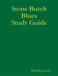 Stone Butch Blues Study Guide