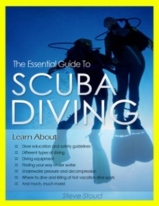The Essential Guide to Scuba Diving 101