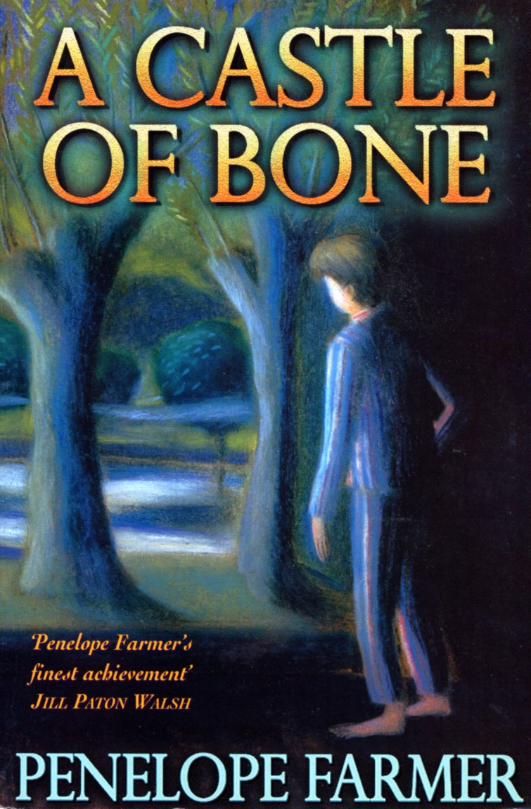 A Castle of Bone cover