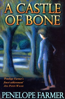A Castle Of Bone by Penelope Farmer