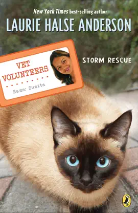 Read: Book Storm Rescue