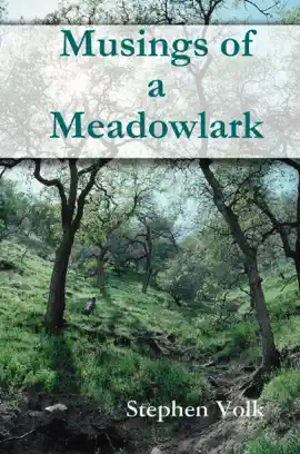 Read: Book Musings of a Meadowlark