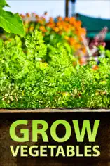 Grow Vegetables