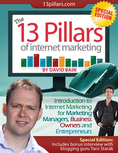 The 13 Pillars of Internet Marketing: Special Edition - David Bain Cover Art