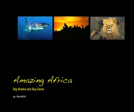 Amazing Africa - Tim Rock