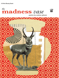 The Madness Vase - Andrea Gibson Cover Art